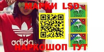 тгк Камышлов