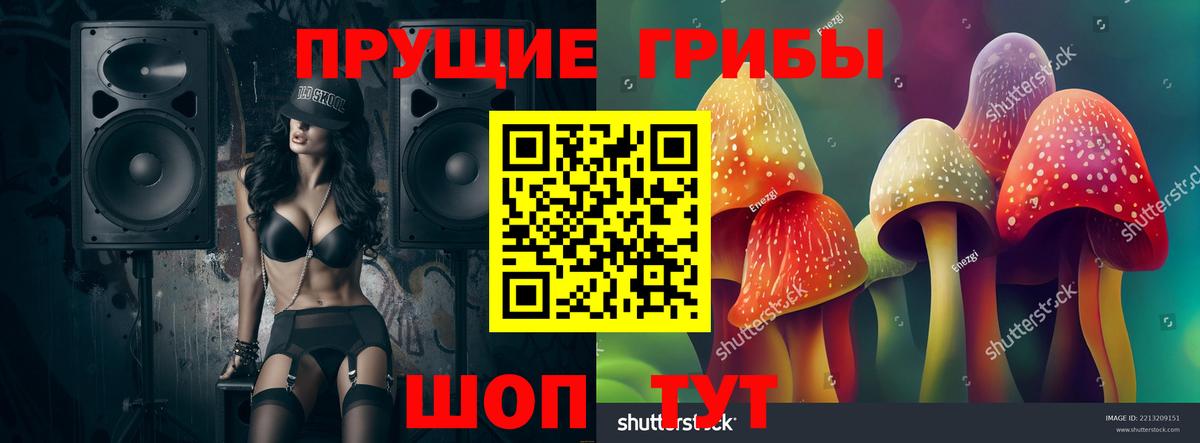 Кунгур  Псилоцибиновые грибы мицелий  Вход с VPN 