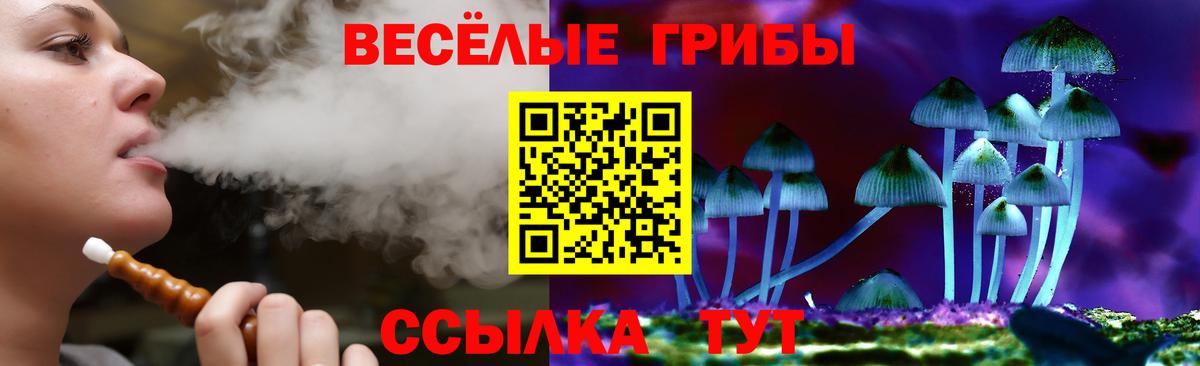 Галлюциногенные грибы ЛСД Кунгур